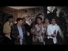 animal house.jpg