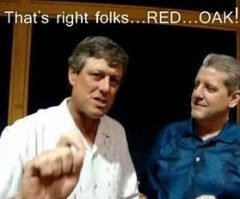 OIP.jpg