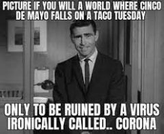 senza tuesday.jpg