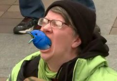 TWITTER BIRD.jpg